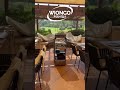 SHERATON Arabella Golf F&B Multirobot #hospitality #robotics
