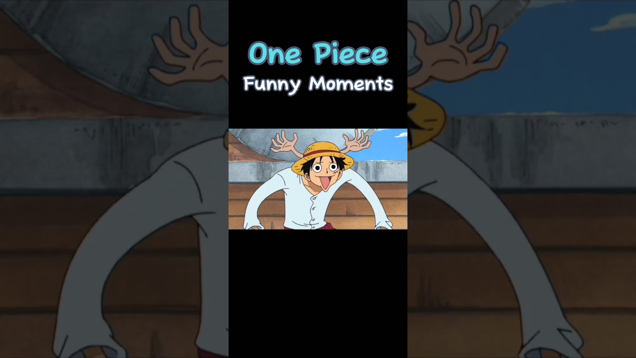 Ala teu pai  One piece funny, One piece funny moments, Anime funny