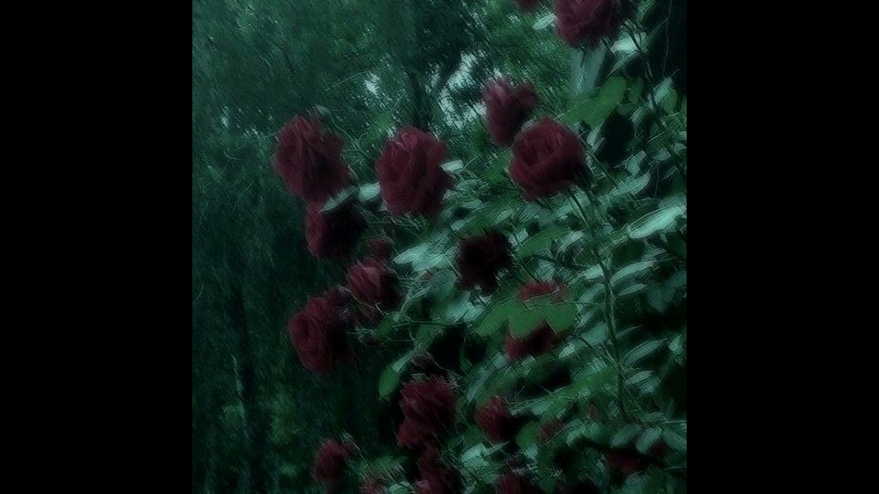 [free] deftones x loathe x shoegaze type instrumental - 