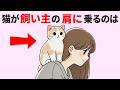 【猫の本音30選】大好きな人に見せる仕草と猫の行動に隠された意味を解説 #雑学 #豆知識 #トリビア