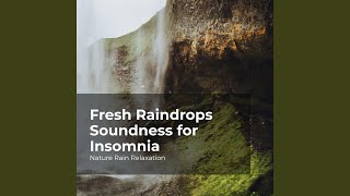 Download Lagu Silence in the Woods MP3