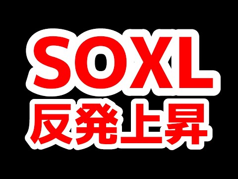 SOXL強い