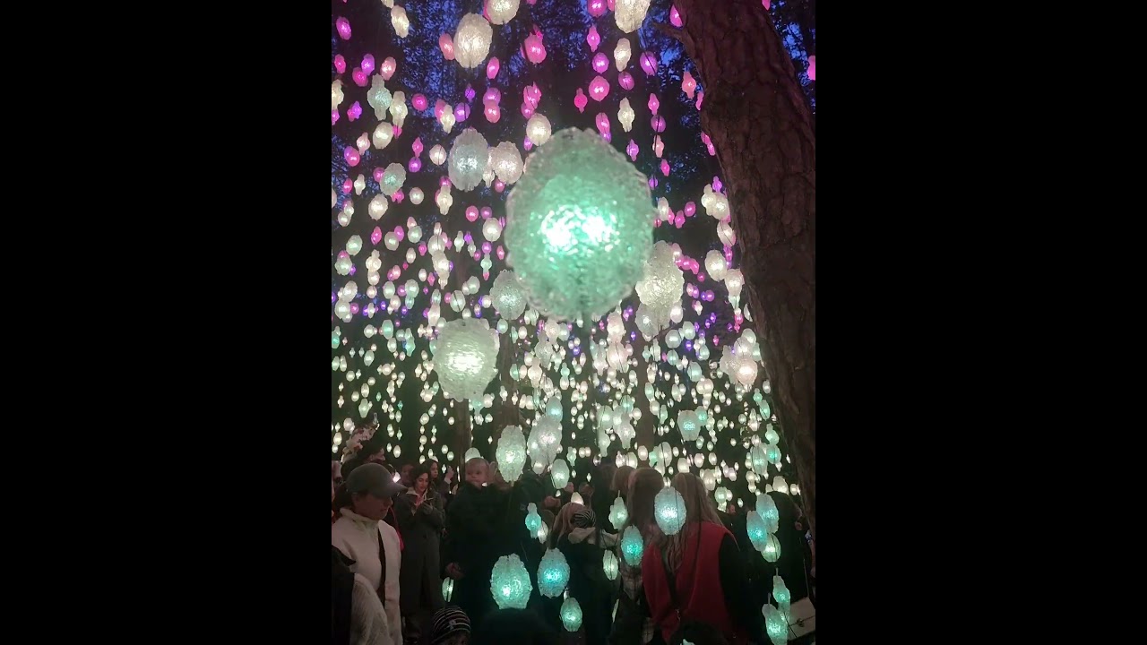 October 2024 - Nordic Pixel Forest- Ekeberg Park in Oslo.