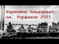 Рыбалка по Украине 2021 оз. Торфяное. Там где дикие Карпы ломают палки и рвут леску, поймали 1000кг.