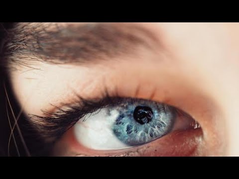 ვიდეო: საიდან გაჩნდა გამოთქმა კაშკაშა თვალები და ბუჩქოვანი კუდები?
