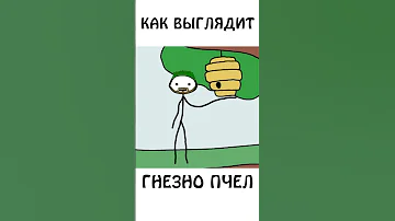 А вы знали, как выглядит гнездо пчел? академияброкколи #shorts #шортс #животные #пчелы #авызналиэто
