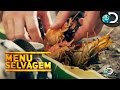 Banquete de reis com frutos do mar defumados - Menu Selvagem l Discovery Channel