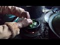 Video de Guevea de Humboldt