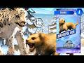 PANTHERA BLYTHERA UNLOCK MARSUPIAL LION MAX LEVEL 