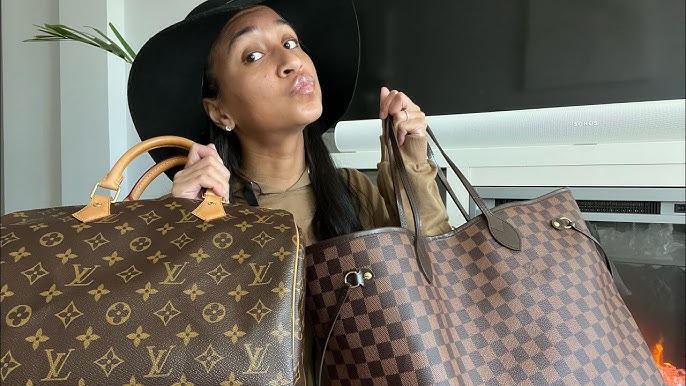 Louis Vuitton Speedy vs Neverfull Comparison! 