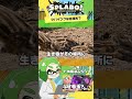 【1分考察】クマサンはなぜ地球を毛玉に変えてしまったの? - #Shorts Splatoon3【SPLABO!】