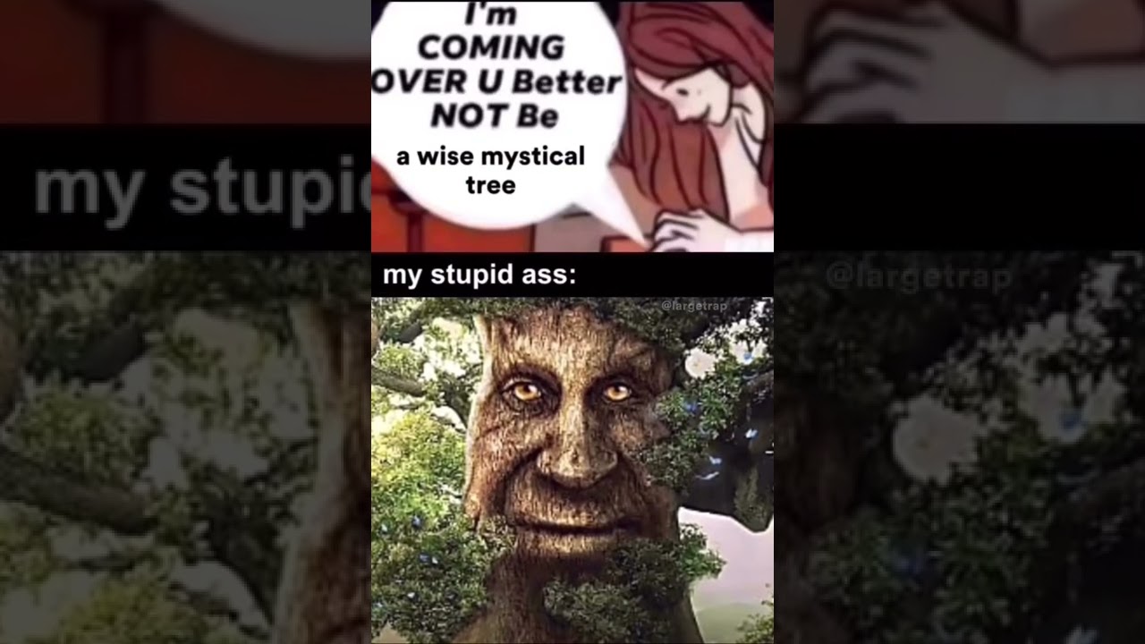 i’m coming over you better not be a wise mystical tree - YouTube