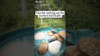 🕊️Not every garden hero needs a cape – sometimes it’s just copper and stones.#mellbree #diy #garden