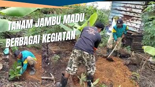 KEBUN RINTISAN PART 151. KEGIATAN DIBKEBUN KEBUN RINTISAN PART 151. KEGIATAN DIBKEBUN