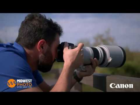 the-canon-90d---incredibly-fast.-amazingly-sharp.-perfect-for-bird-photography!