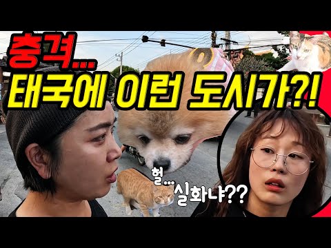🇹🇭태국에 이런 도시가 있다니...충격과 공포.../태국 람빵/동남아 한달살기