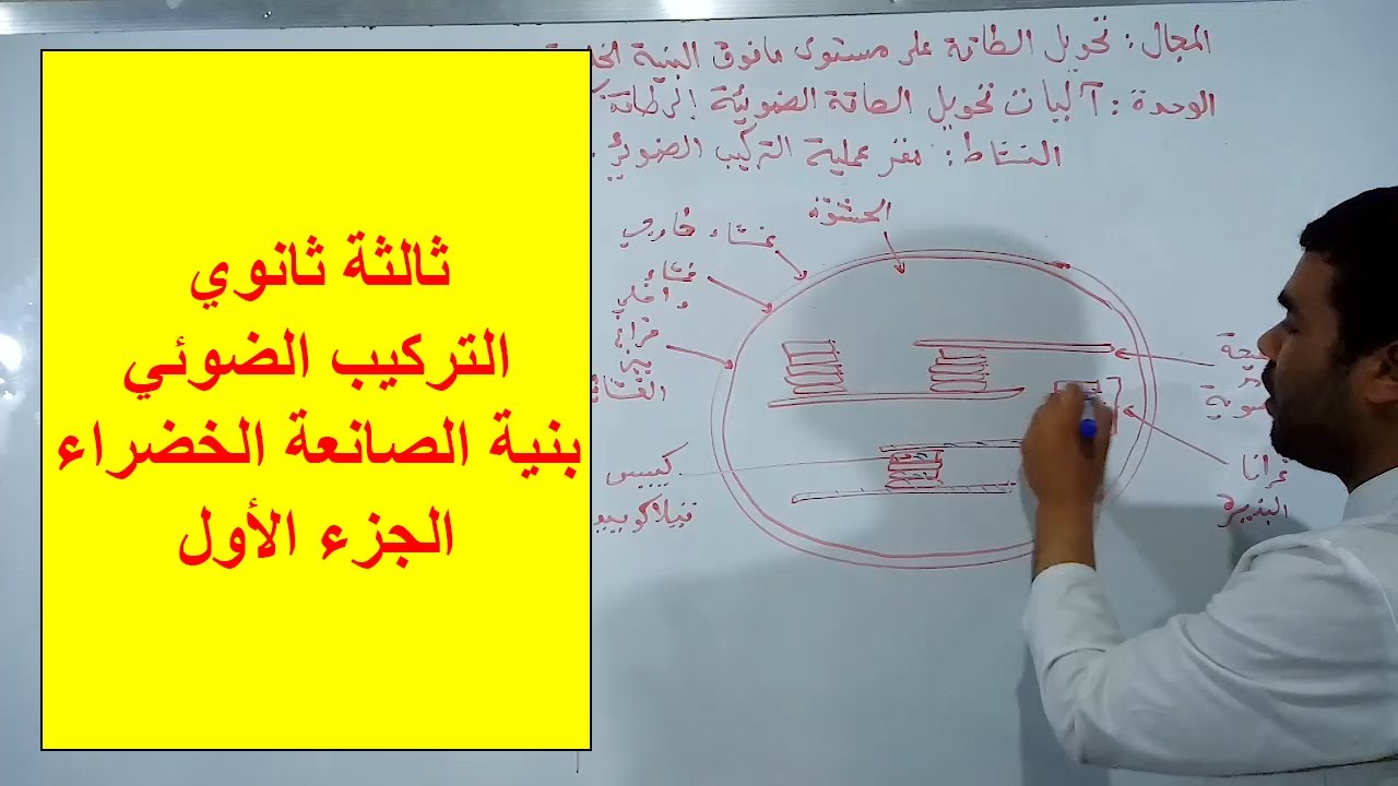 التركيب الضوئي