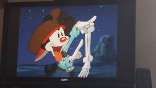 Exclusive Animaniacs bone song Details