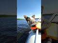 Красивый пёсель катается на лодке по реке