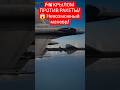 F-16 КРЫЛОМ ПРОТИВ РАКЕТЫ! 😱 Невозможный маневр! #shorts #aviation