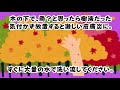 【紅葉シーズン要注意】知っていれば焦らない「とっさの正解」 #雑学#睡眠#面白い#ゆっくり#おすすめ#shorts