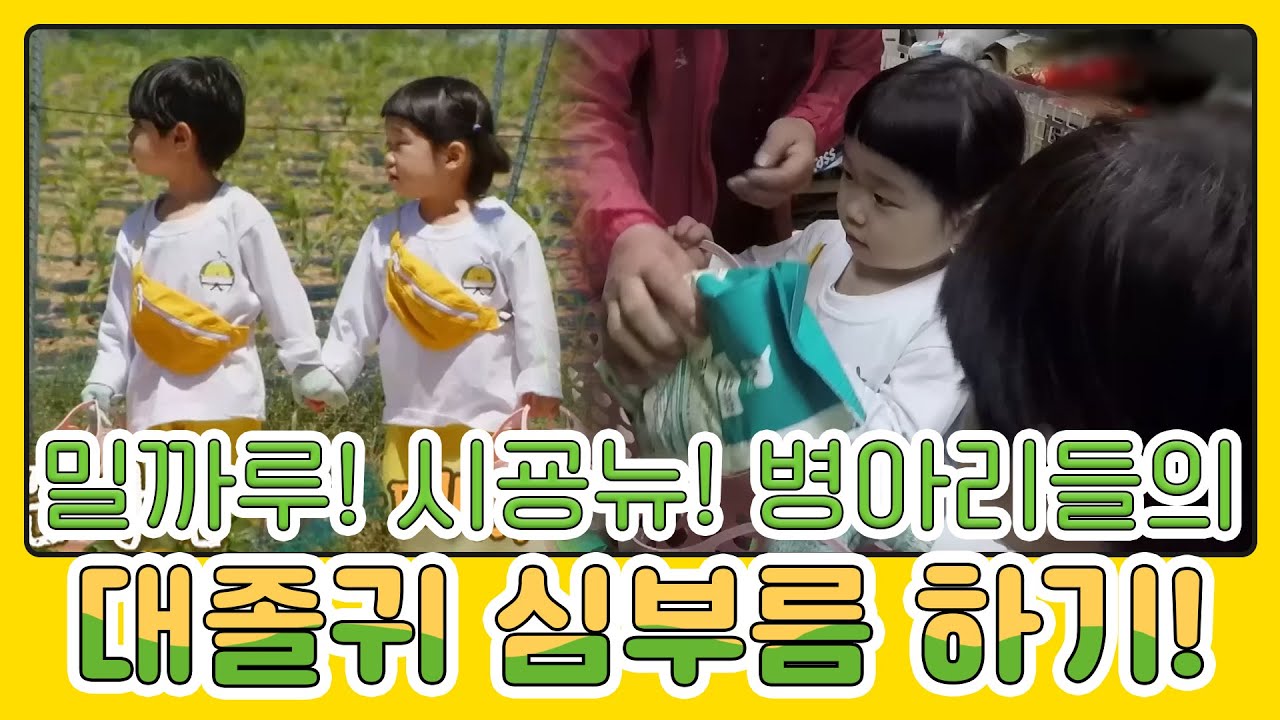 밀까루~ 시굥뉴~ 병아리들🐣의 분유 냄새🍼 폴폴 나는 대졸귀 심부름ㅜㅜ♥! MBN 20210530 방송