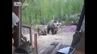 Watch Bear Attack Mother video