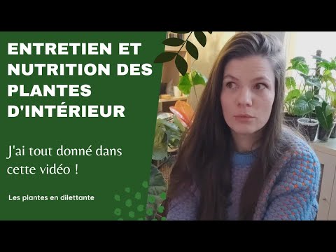 Vidéo: Comment organiser votre entreprise à partir de zéro et la développer avec succès