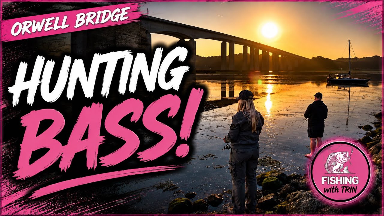 BASS FISHING THE ORWELL BRIDGE… WHAT COULD GO WRONG? 😂🎣😅