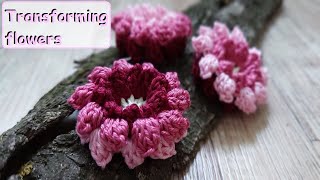 🌺 Transforming flowers 🌷 Цветы-трансформеры 🌸