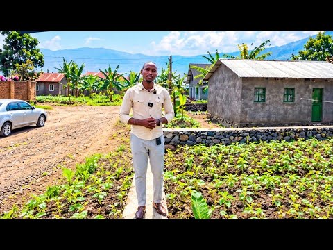 Ikibanza rubavu mubyahi Kw'ikaragiro ry'amata ubuso 300sqm / the plots for sale #gisenyi #realestate