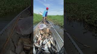 Download Lagu NAGLILIPARAN ANG MGA ISDA SA BINAKO MGA IDOL MP3 Download Lagu NAGLILIPARAN ANG MGA ISDA SA BINAKO MGA IDOL MP3