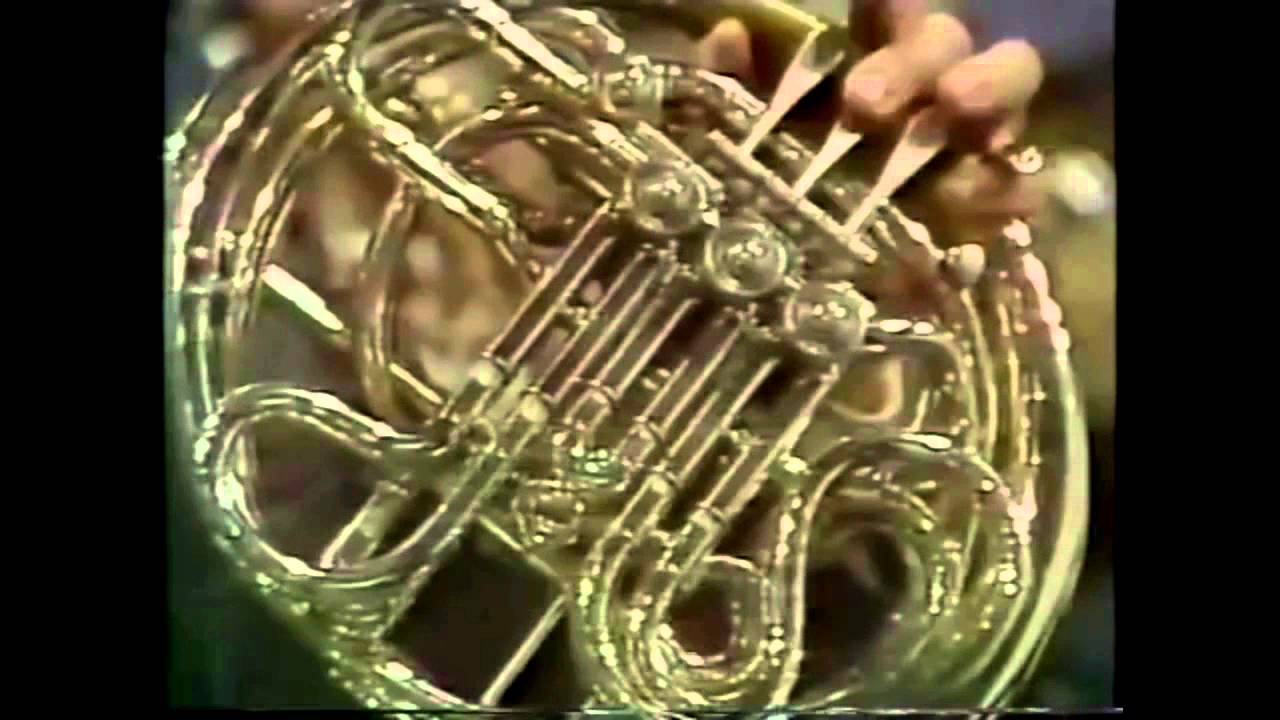 Williams's Star Wars Leia's Theme, Horn Solo YouTube