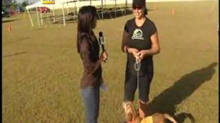 Pride For Ewa Animal Adoption Awareness