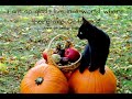 Best Farms For Apples and Pumpkins at Sussex County, Delaware Beaches!