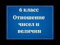 Математика 6 класс. Тема: "Отношение чисел и величин".