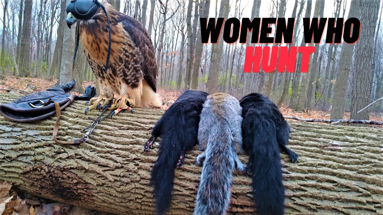 Hunting Squirrels With a RedTailed Hawk; GoPro Compilation YouTube