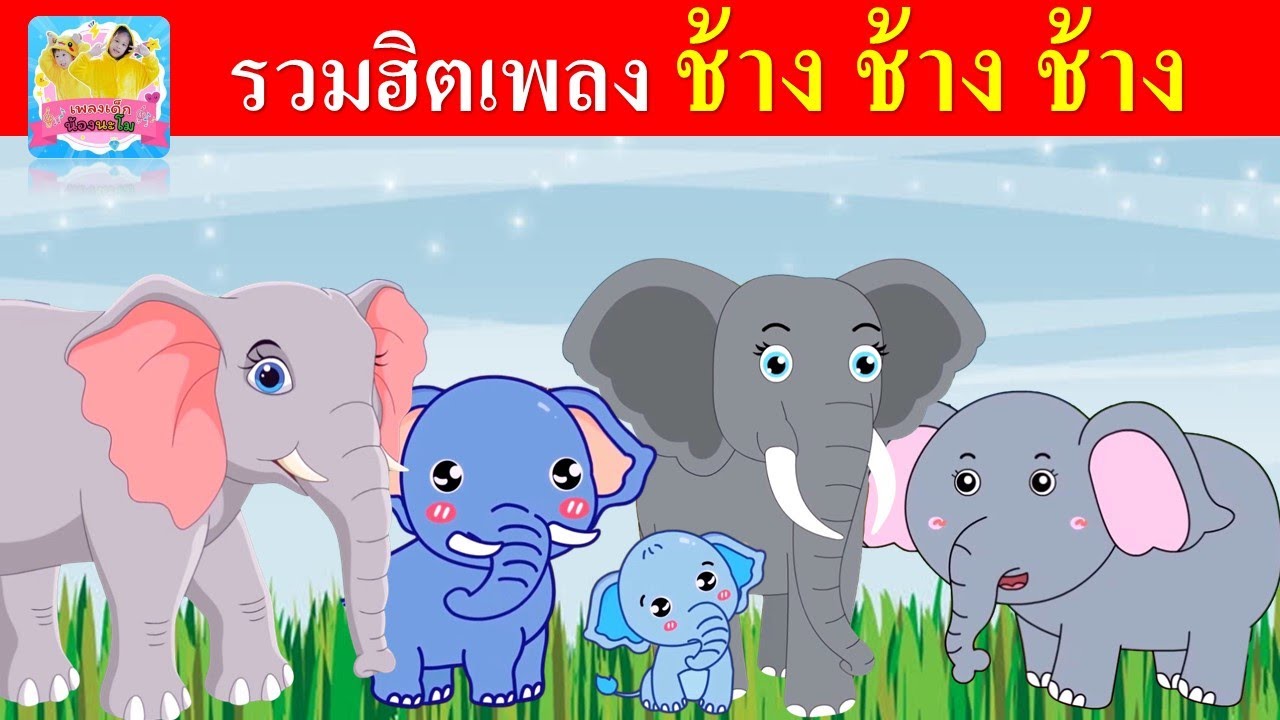 รวมฮิตเพลง ช้าง ช้าง ช้าง | ช้าง 4 เวอร์ชั่น การ์ตูนน่ารัก