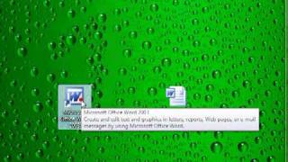 Celebrity Word 3111 open and close application and documents Microsoft Word 2003 Profile