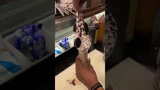 Chocolate Loaded Icecreamstreetfoodicecream10minrecipechoclateicereamturkiahyoutubeshor