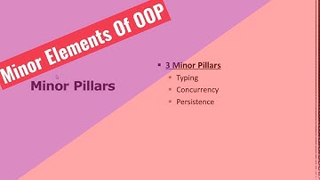 Minor Elements Of OOP | Object Model | C++ | Java | Python | OOP For Developers