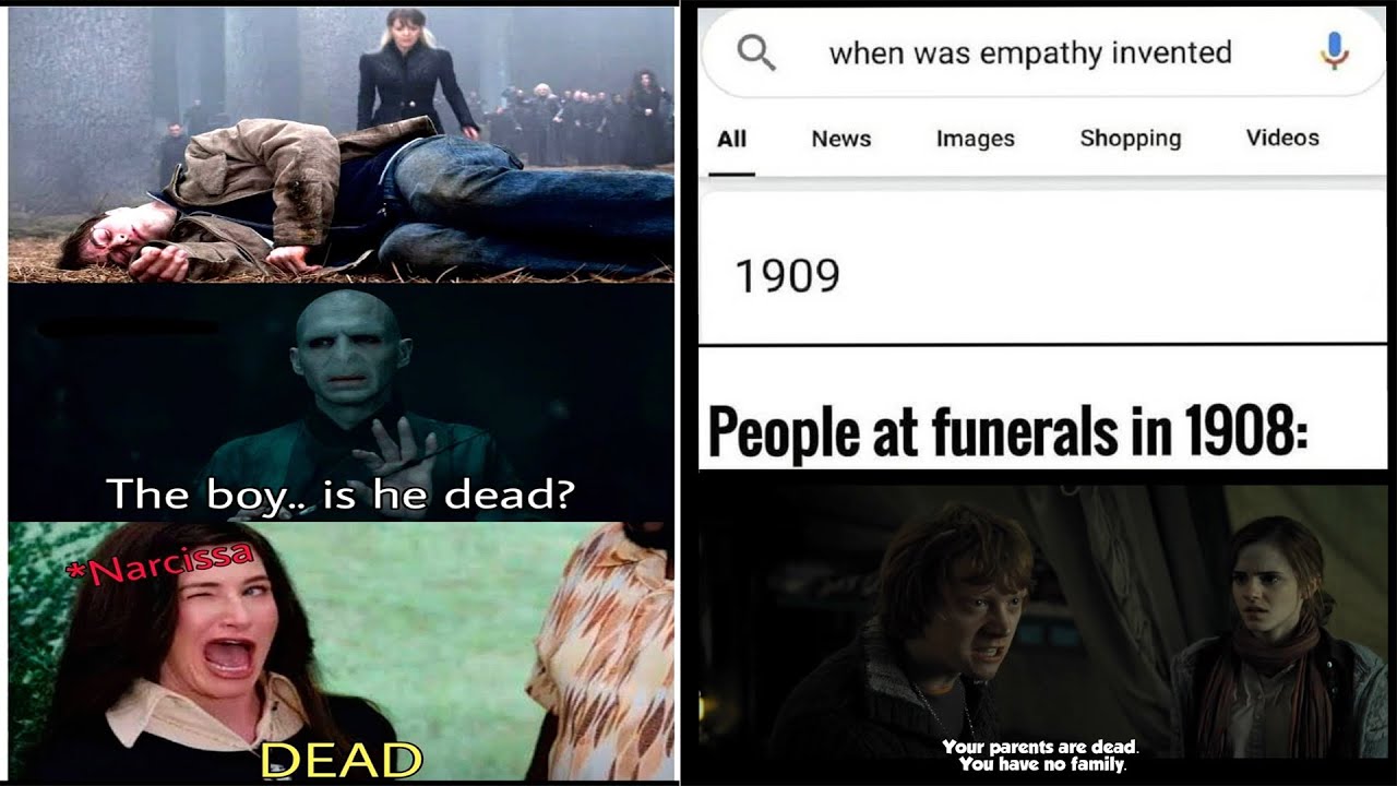 Only Harry Potter fans will find funny #33