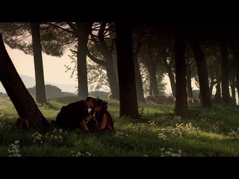 Pullo Proposes Eirene HD 