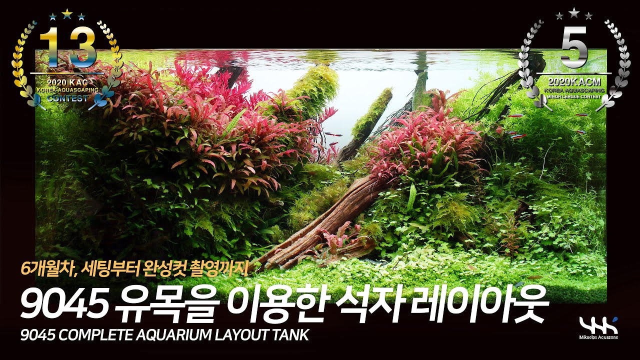 [자막] 9045 유목을 이용한 석자 레이아웃 세팅부터 완성까지 (900 Tank Wood Layout setting to ...