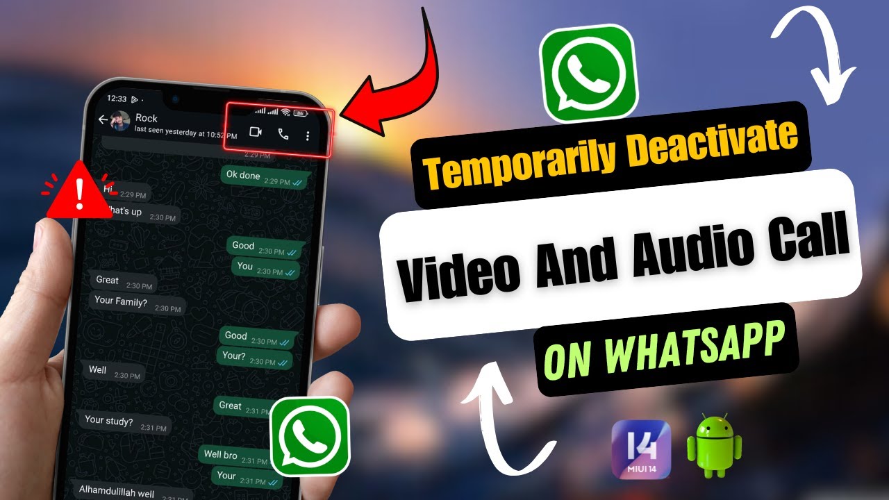 How To Temporarily Deactivate WhatsApp Video And Audio Call - YouTube