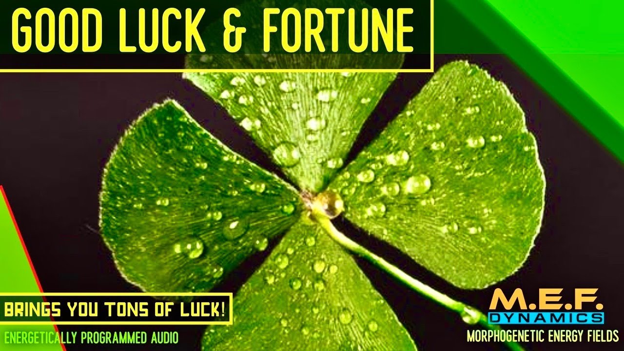 Attract Good Luck Wealth & Fortune ! (Morphic Field Audio)
