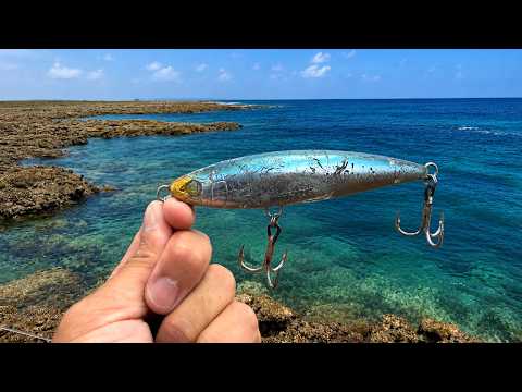 I kept casting big lures for blue runners, and you won't believe