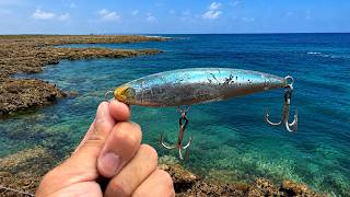 青物狙いで大きいルアーを投げ続けた結果、まさかの魚…！？ screenshot 5