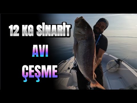 İZMİR/ÇEŞME 12 KG SİNARİT AVI