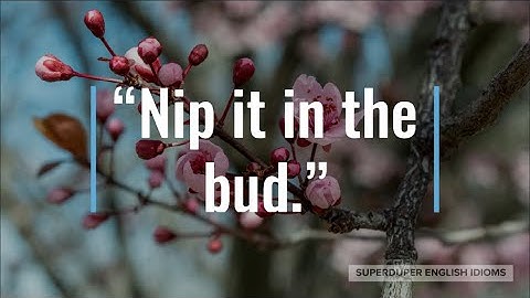 "Nip it in the Bud" Idiom Meaning, Origin & History | Superduper English Idioms